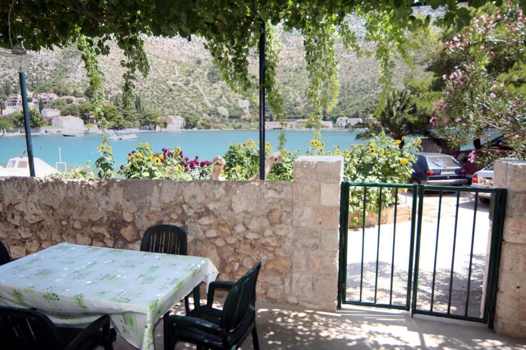Photo of Others in Zaton