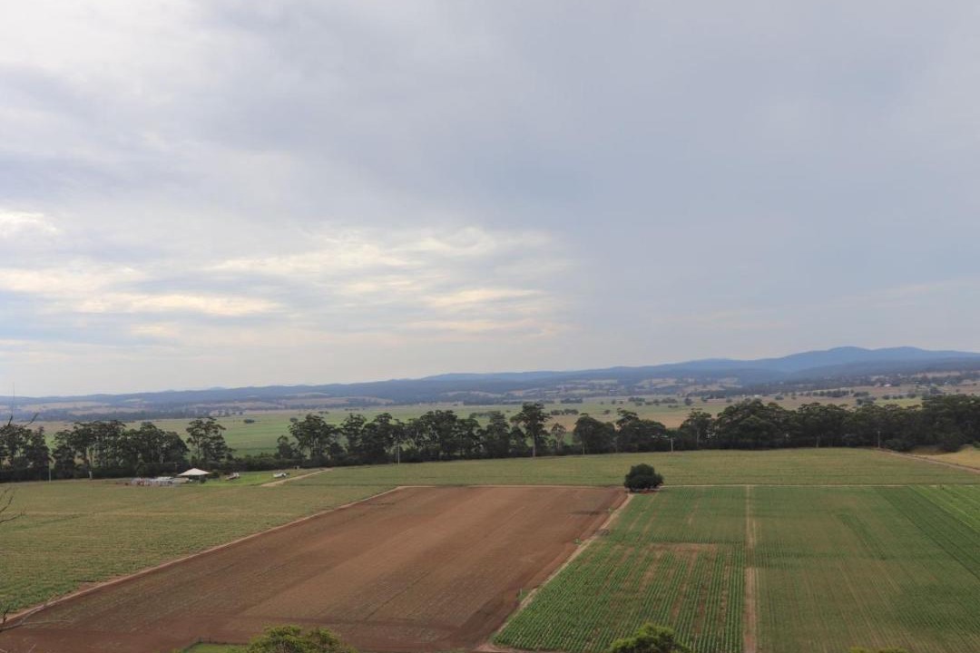 Photo of Others in Newmerella