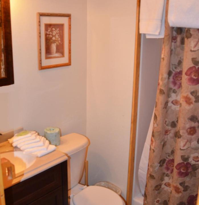 Photo of Bathroom in Sevierville
