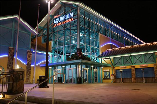 Photo of Others in Gatlinburg