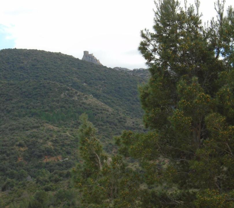 Photo of Outdoor in Cucugnan