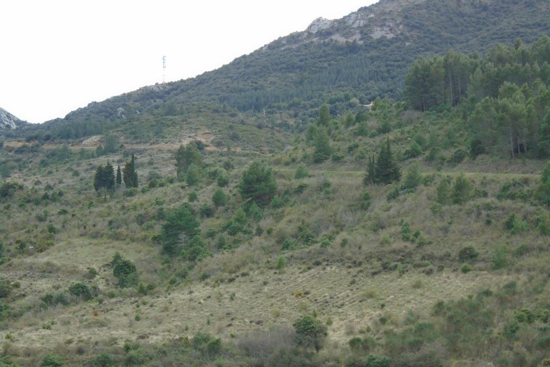 Photo of Outdoor in Cucugnan