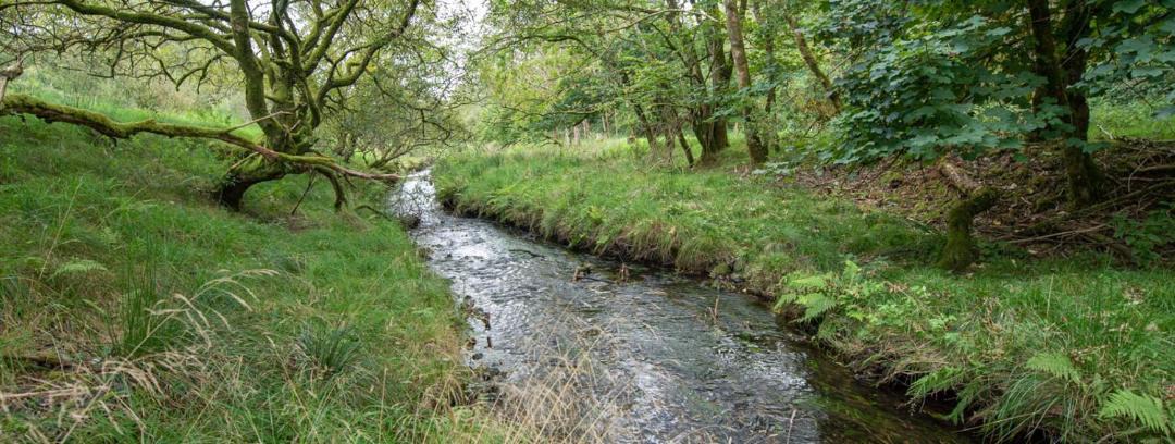 Photo of Outdoor in Mary Tavy