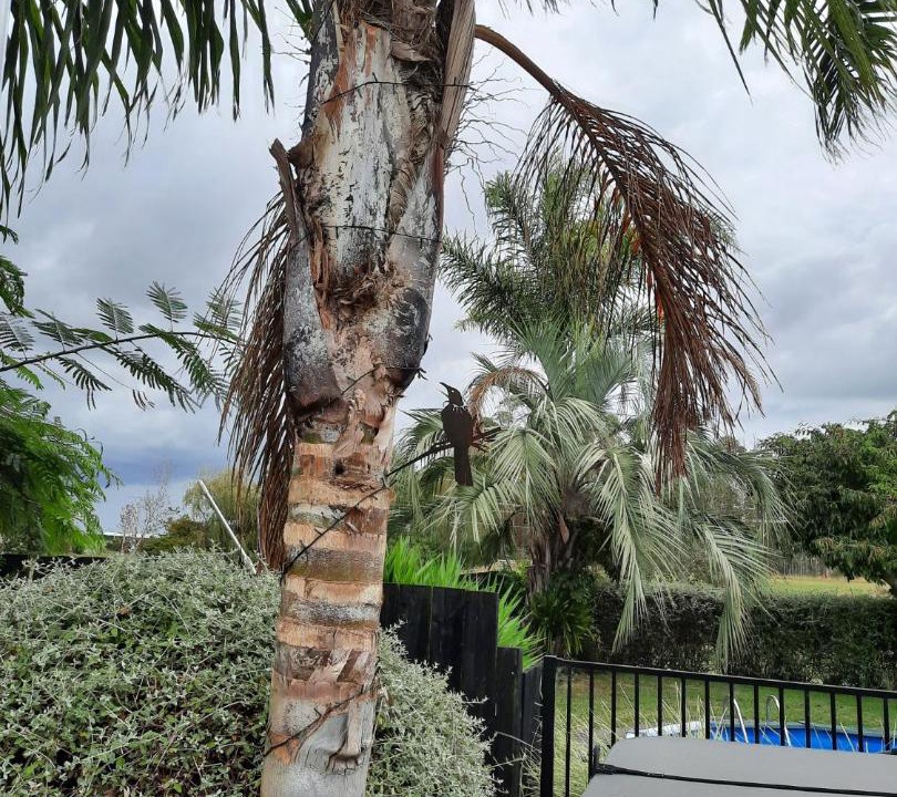 Photo of Others in Cambridge