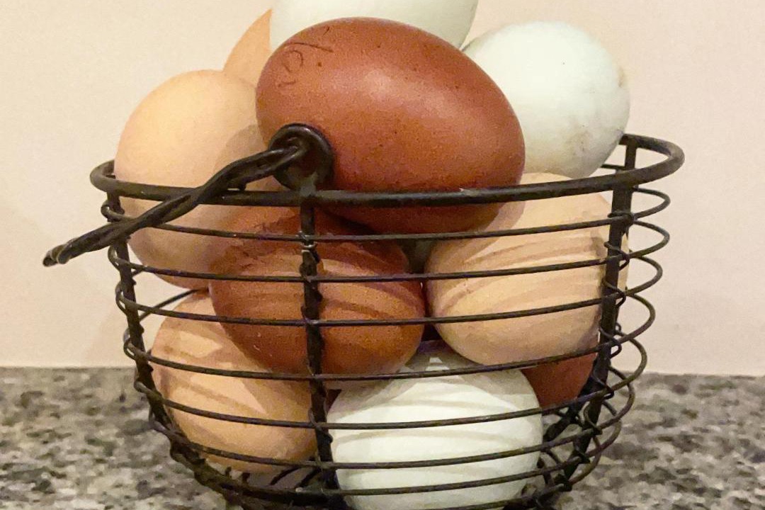 Photo of Others in Giddeahall