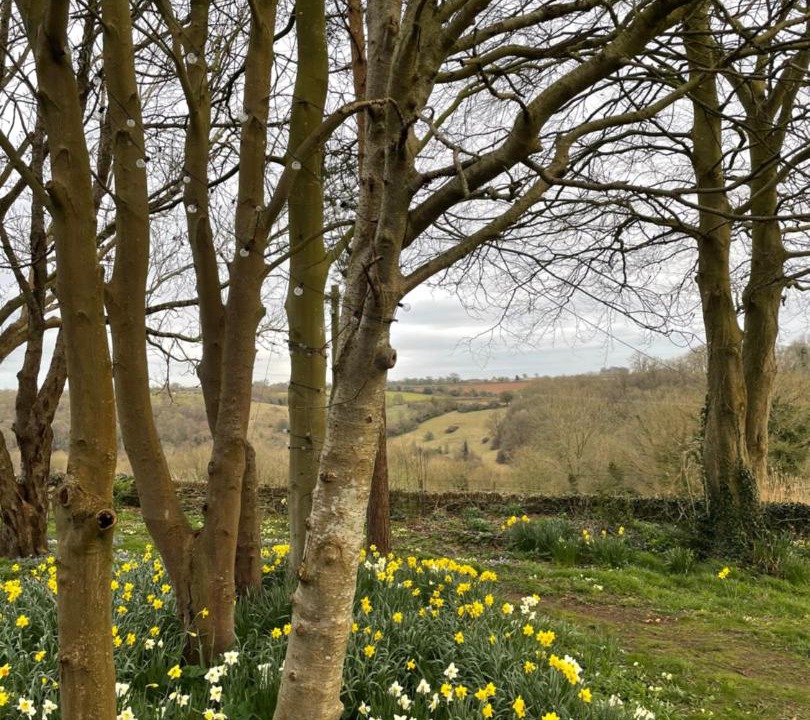 Photo of Others in Giddeahall