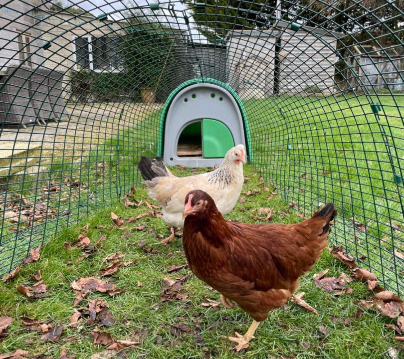 Photo of Others in Giddeahall