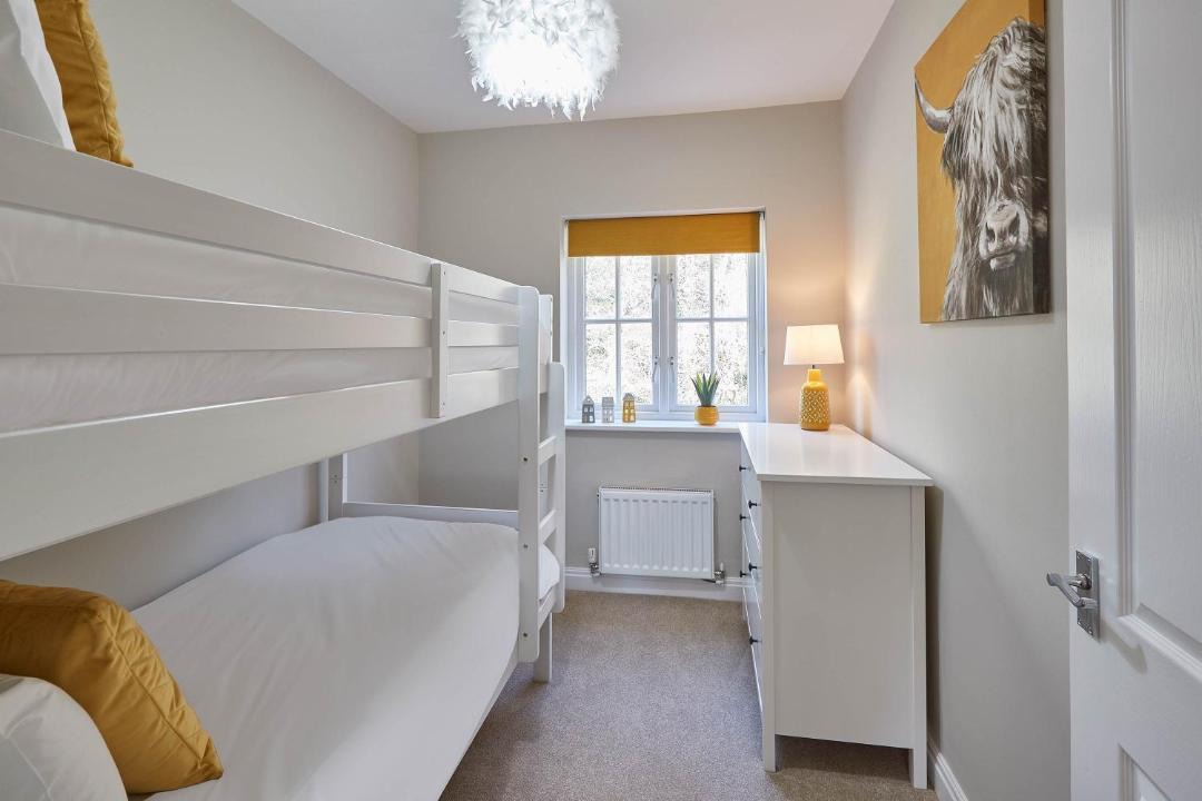 Photo of Others in Whitby