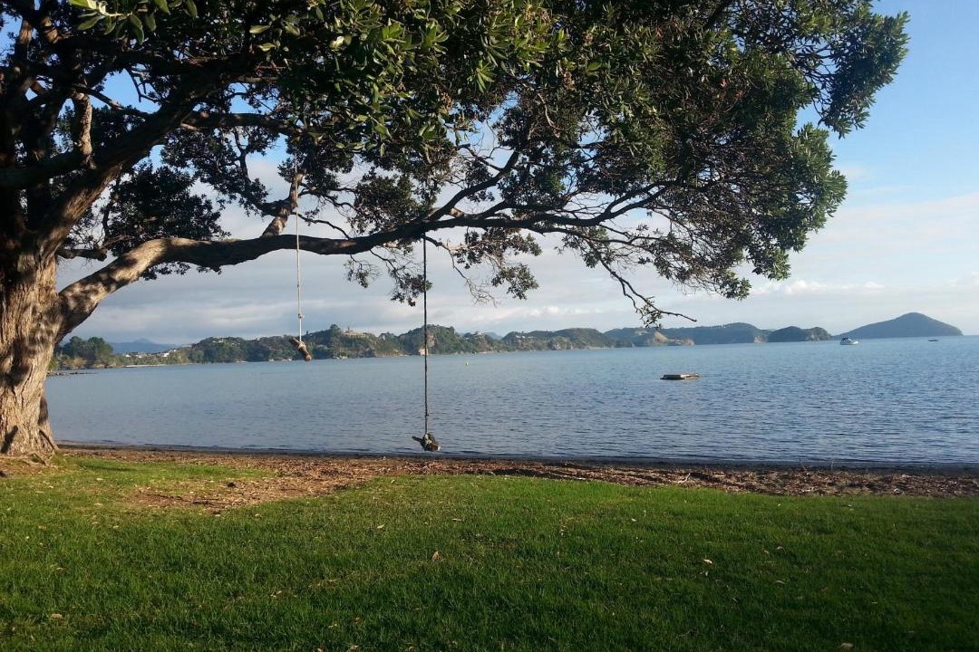 Photo of Others in Coromandel