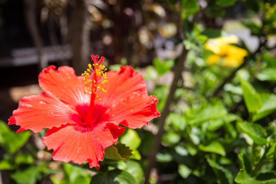 Photo of Others in Boomerang Beach
