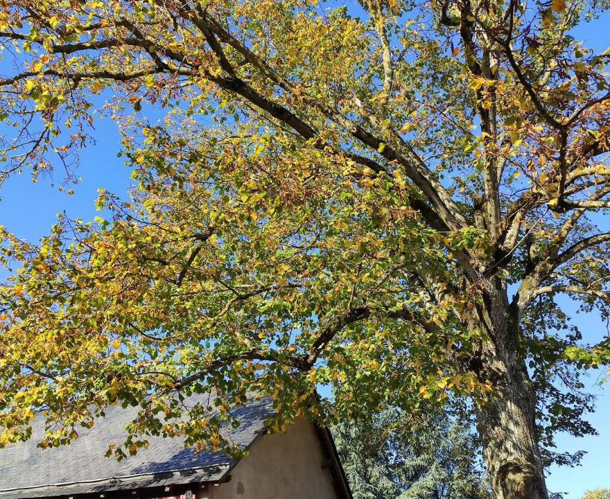 Photo of Others in Val-du-Layon