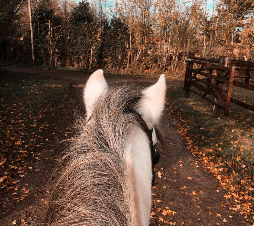Photo of Others in Saint-Germain-d'Aunay