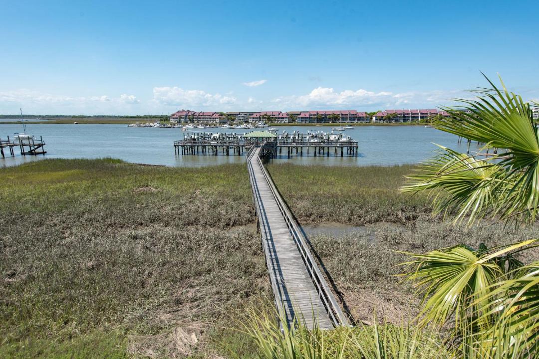 Photo of Others in Folly Beach