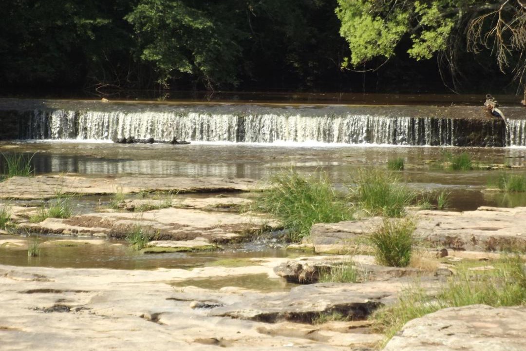 Photo of Buildings in Vidauban