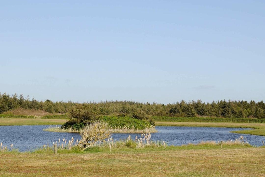 Photo of Outdoor in Vejers Strand