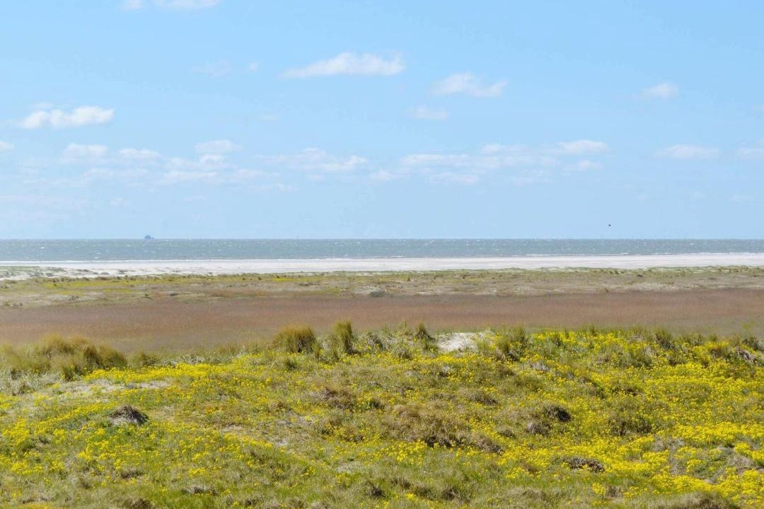 Photo of Others in Rindby Strand