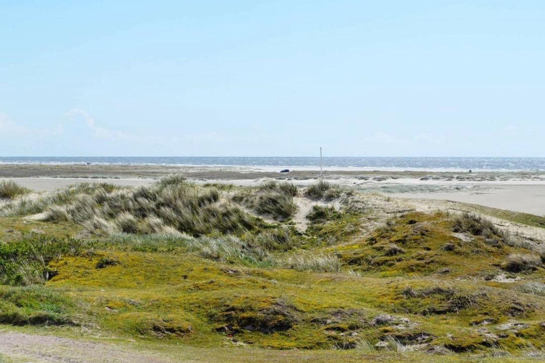 Photo of Others in Rindby Strand
