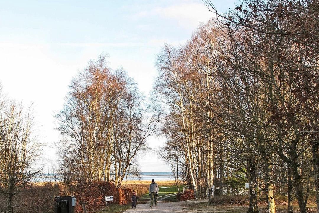 Photo of Others in Ørsted