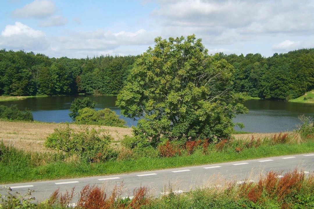 Photo of Outdoor in Aabenraa