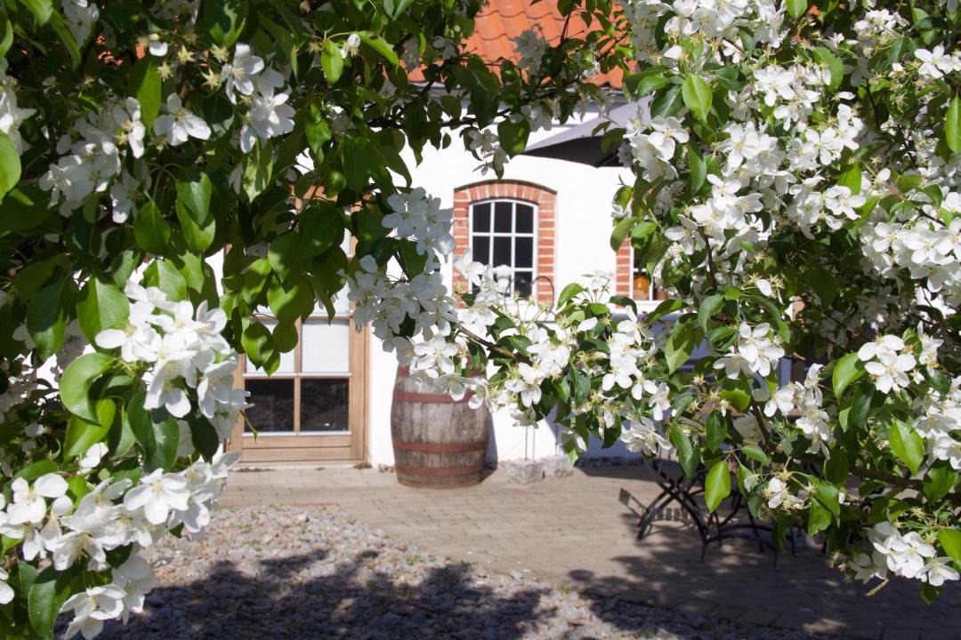 Photo of Others in Billund