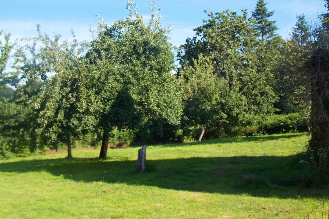 Photo of Outdoor in Sourdeval