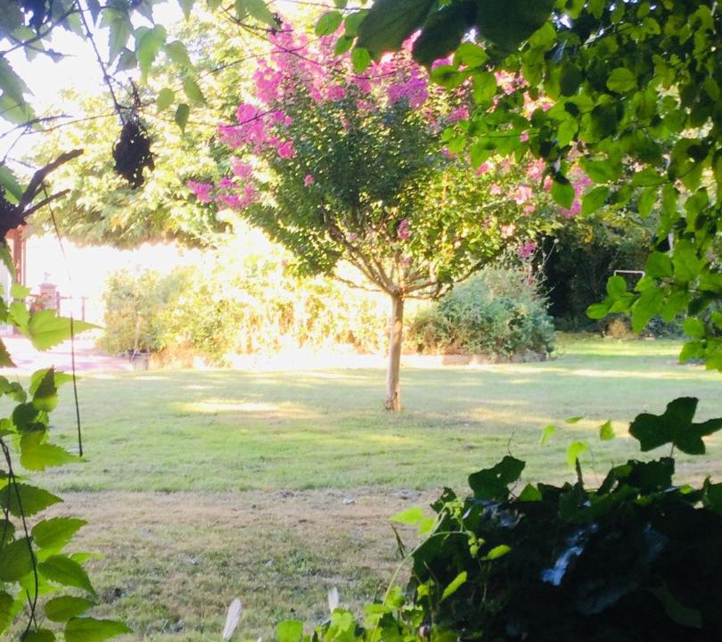 Photo of Outdoor in Cravans