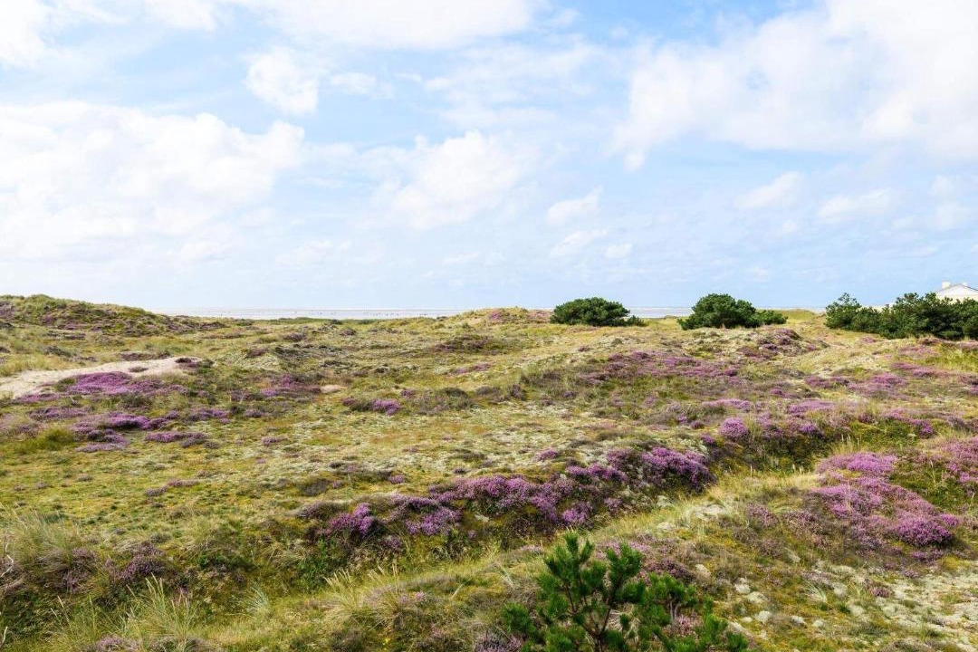 Photo of Outdoor in Sønderho
