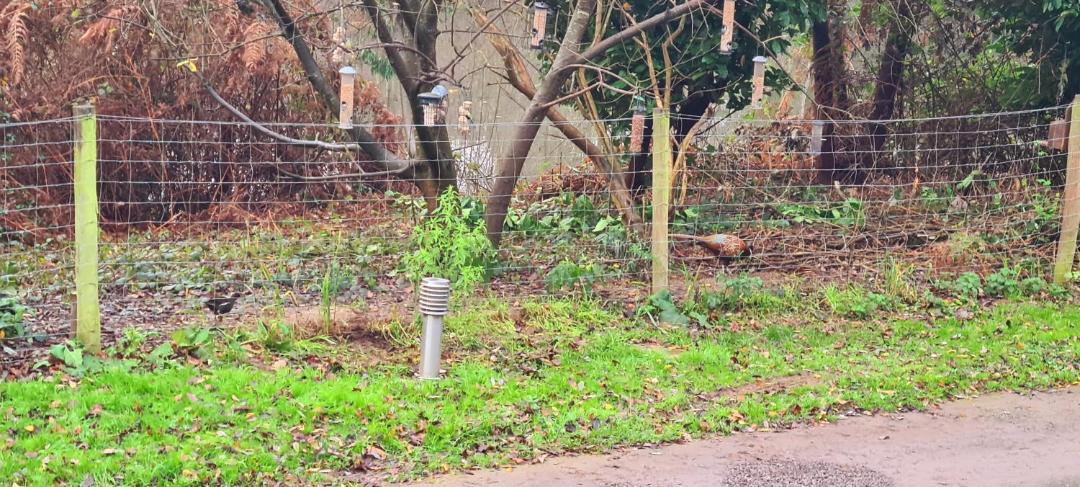 Photo of Buildings in Bridgnorth