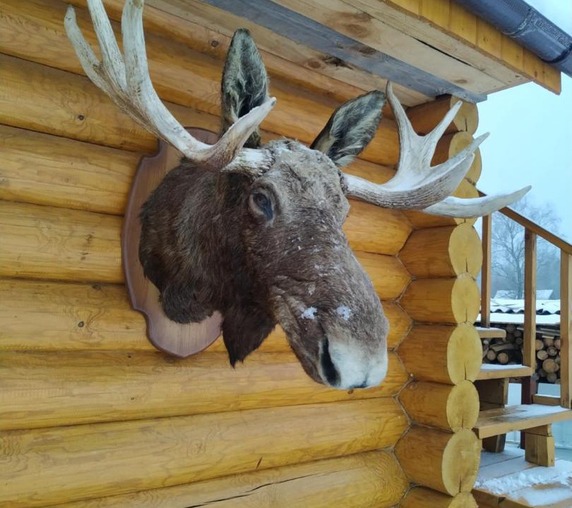 Photo of Others in Pogorelka