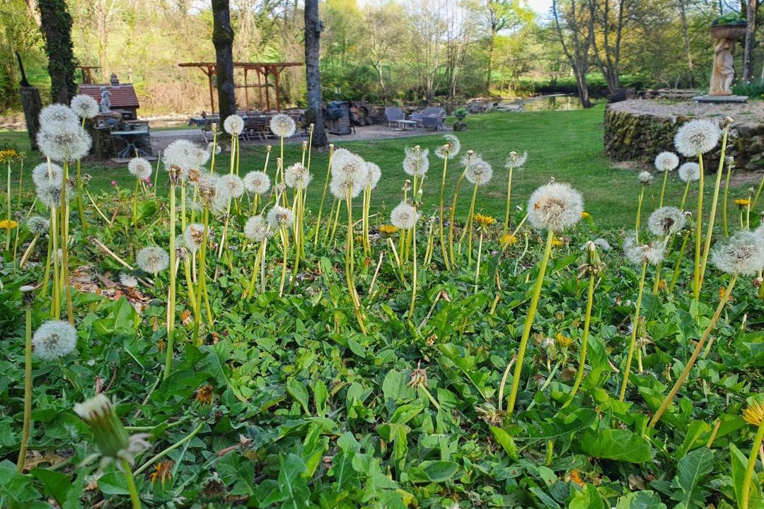 Photo of Others in Cheniers