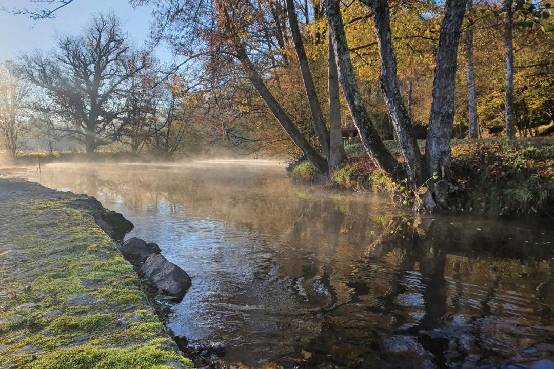 Photo of Others in Cheniers