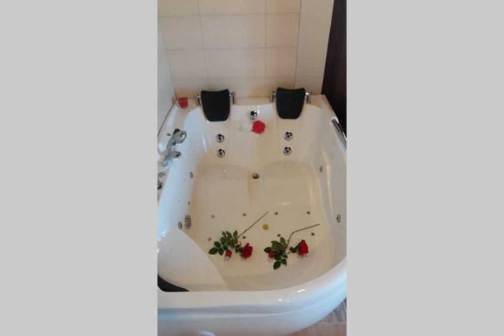 Photo of Bathroom in Curiel