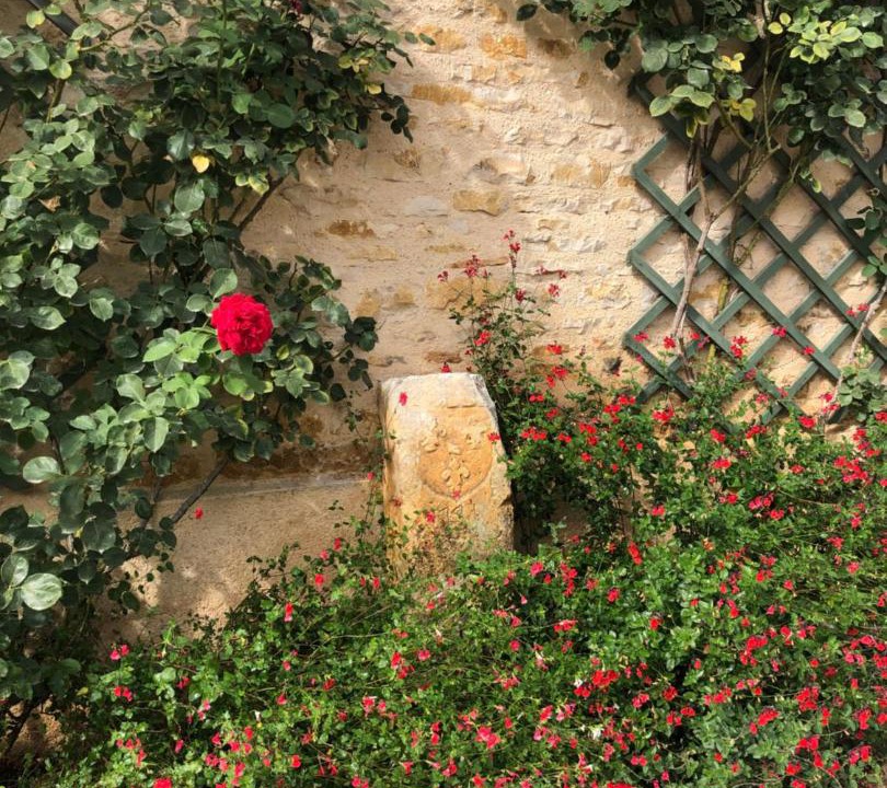 Photo of Others in Merry-sur-Yonne