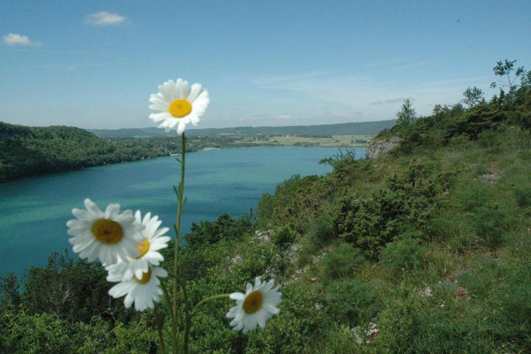 Photo of Others in Marigny