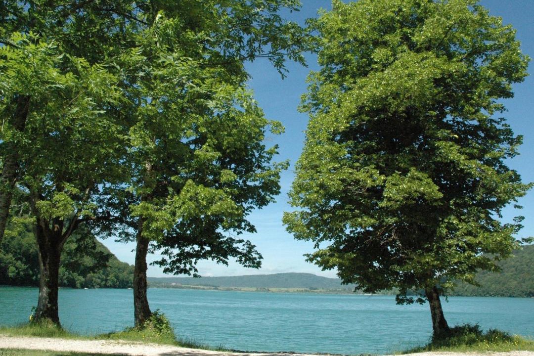 Photo of Others in Marigny