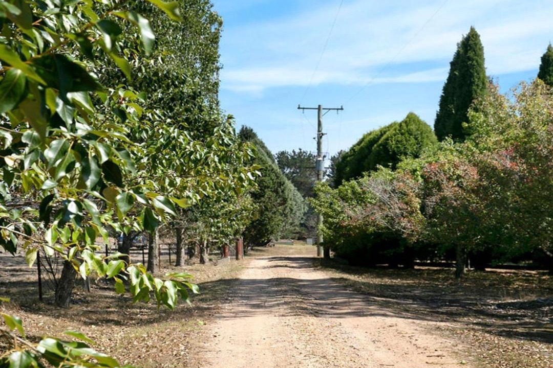 Photo of Others in Berrima