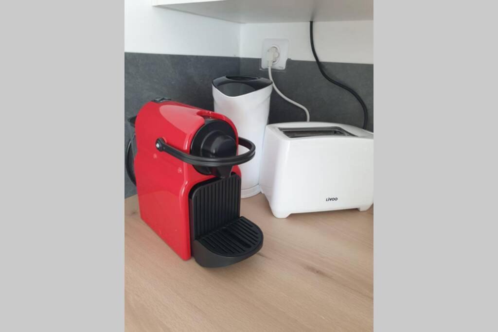 Photo of Others in Plein Sud