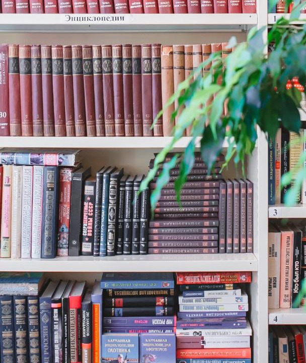 Photo of Others in Barvikha