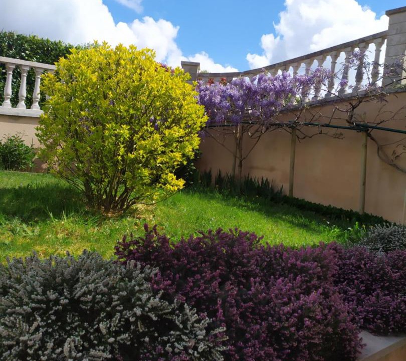 Photo of Others in Chaptelat