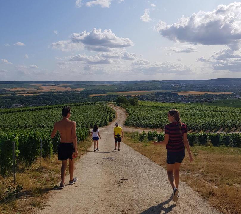 Photo of Others in Avenay-Val-d'Or