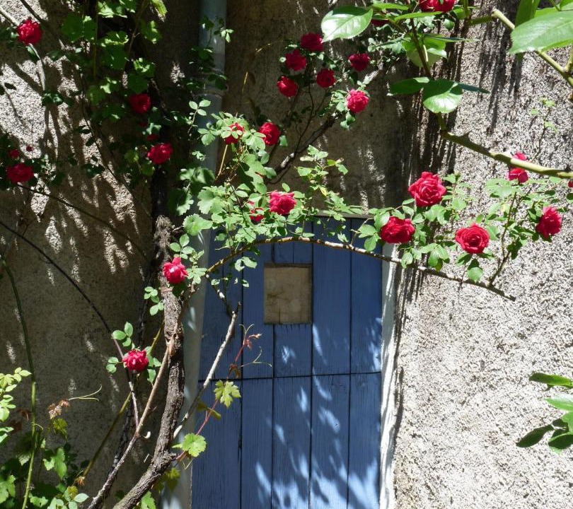 Photo of Others in Montredon-Labessonnie