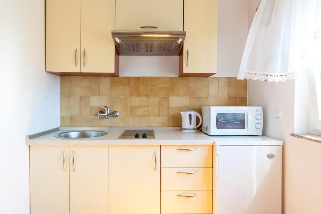 Photo of Kitchen in Milcetici