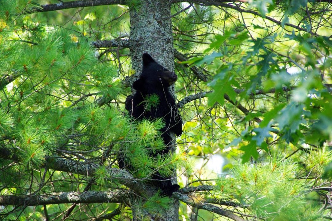 Photo of Others in Arnstein