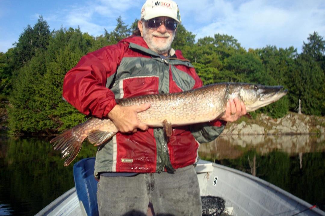 Photo of Others in Arnstein