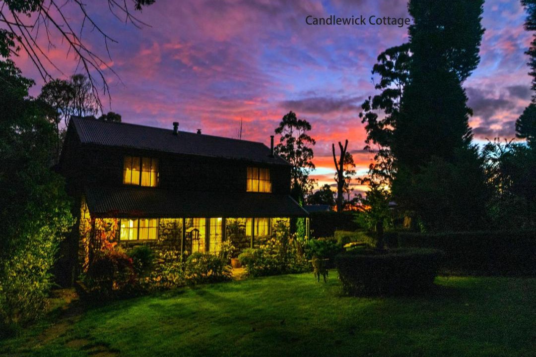 Photo of Others in Mount Dandenong