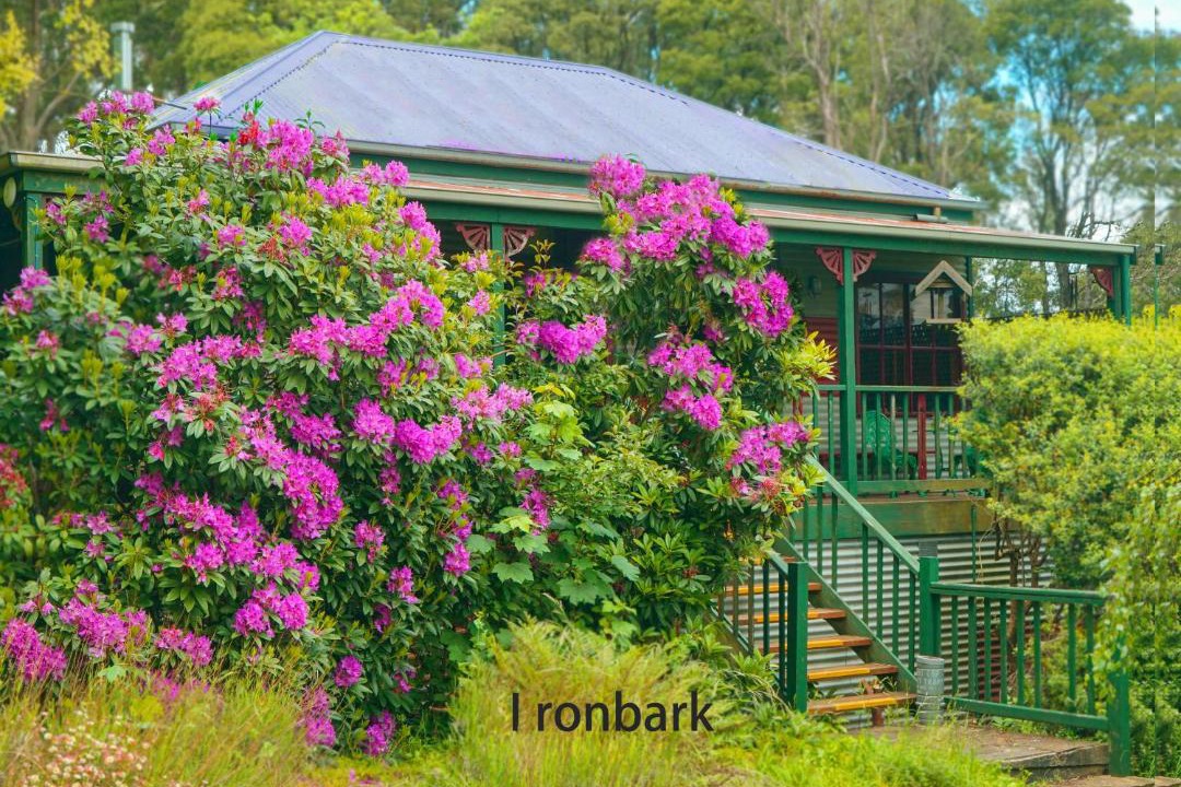 Photo of Others in Mount Dandenong