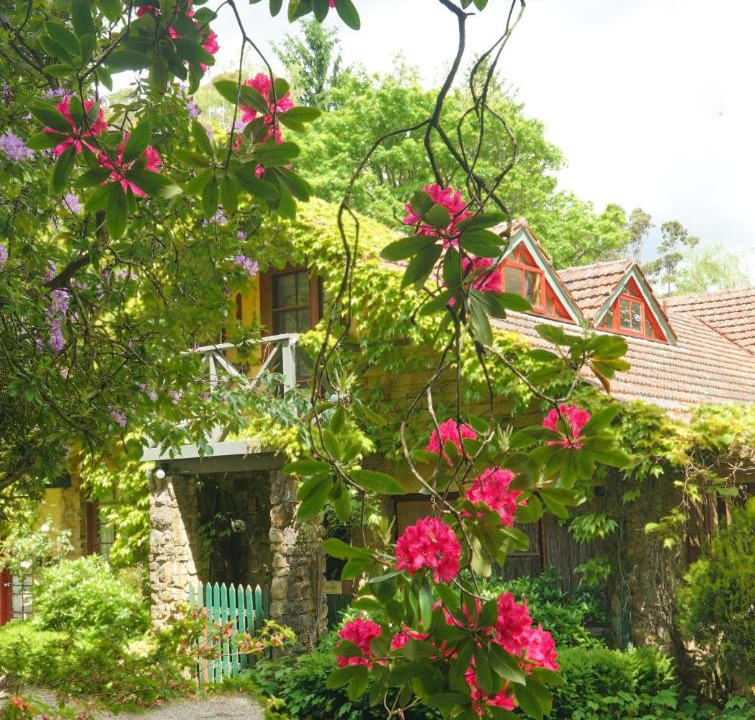 Photo of Others in Mount Dandenong