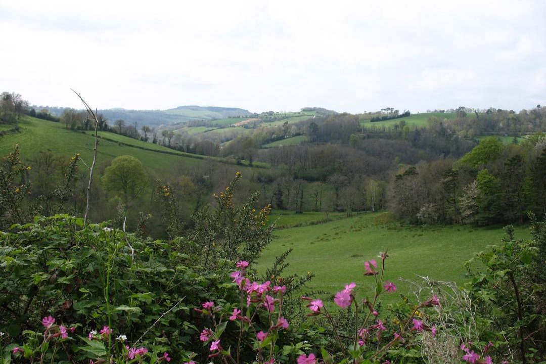 Photo of Outdoor in Montredon-Labessonnie