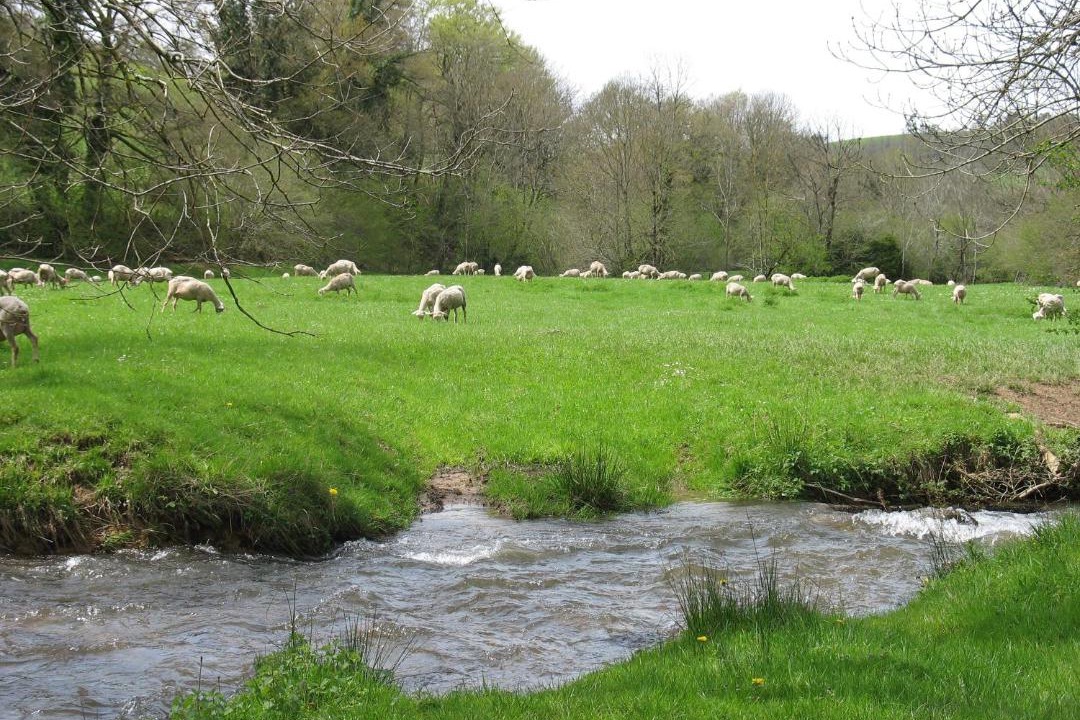 Photo of Others in Montredon-Labessonnie