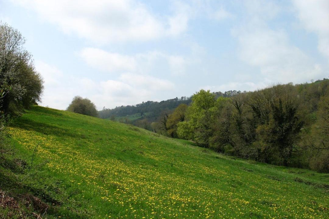 Photo of Others in Montredon-Labessonnie